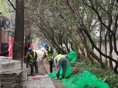 点亮回家路，温暖市民心——禅城道路照明亮化工程全面启动